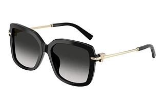 Tiffany TF4252B 80013C Grey GradientBlack