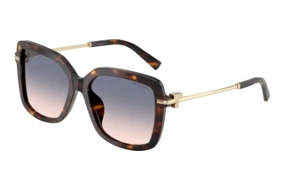 Vue de face Tiffany TF4252B (801516)