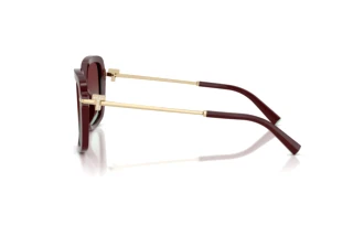 Vue latérale Tiffany TF4252B (8389V5)