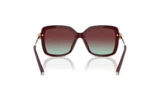 Vue arrière Tiffany TF4252B (8389V5)