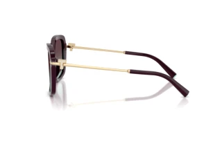 Vue latérale Tiffany TF4252B (8427V7)