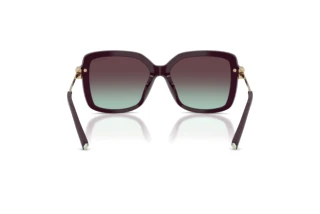 Vue arrière Tiffany TF4252B (8427V7)