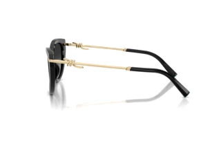 Vue latérale Tiffany TF4253 (80013C)