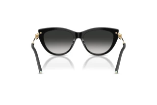 Vue arrière Tiffany TF4253 (80013C)