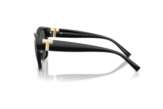 Vue latérale Tiffany TF4254U (8001S4)