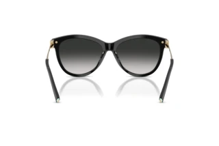 Vue arrière Tiffany TF4258BU (80013C)