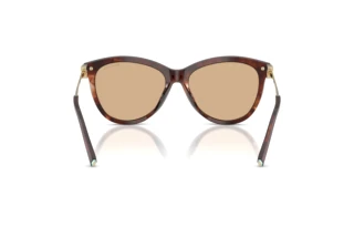 Vue arrière Tiffany TF4258BU (8421/8)