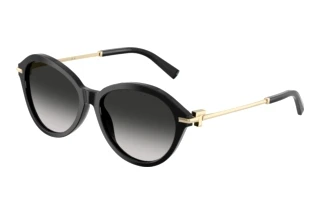 Vue de face Tiffany TF4259 (80013C)