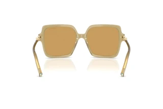 Vue arrière Tiffany TF4260U (846173)