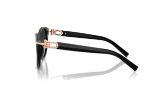 Vue latérale Tiffany TF4261 (80013C)