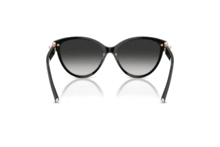 Vue arrière Tiffany TF4261 (80013C)