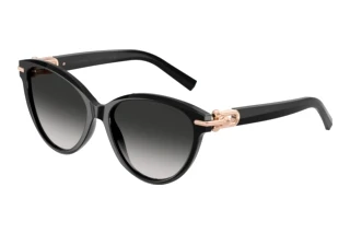 Vue de face Tiffany TF4261 (80013C)