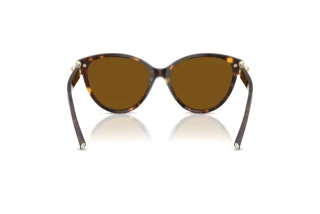 Vue arrière Tiffany TF4261 (801583)