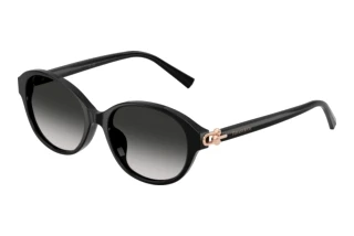 Vue de face Tiffany TF4263D (80013C)