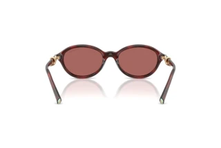 Vue arrière Tiffany TF4266U (847269)