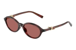 Vue de face Tiffany TF4266U (847269)