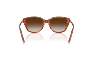 Vue arrière Tiffany TF4267 (84693B)