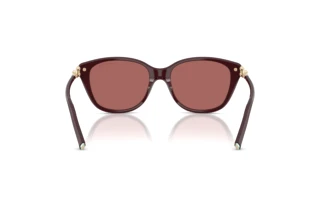 Vue arrière Tiffany TF4267 (847069)