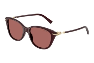 Vue de face Tiffany TF4267 (847069)