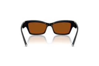 Vue arrière Tiffany TF4269U (847673)