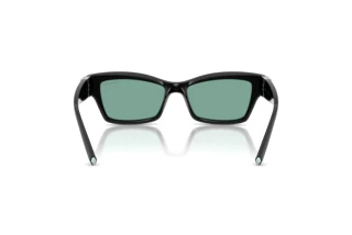 Vue arrière Tiffany TF4269U (847782)