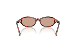 Vue arrière Tiffany TF4270U (847873)