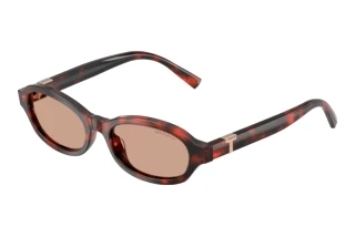 Vue de face Tiffany TF4270U (847873)