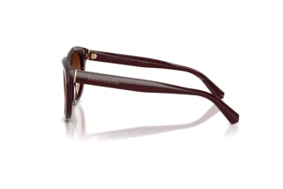 Vue latérale Tiffany TF4271 (84705M)