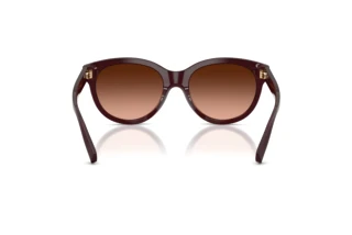 Vue arrière Tiffany TF4271 (84705M)