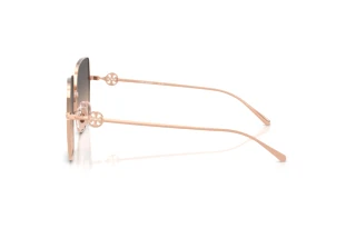 Vue latérale Tory Burch TY6118D (3358G9)