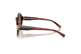 Vue latérale Tory Burch TY7210U (201173)