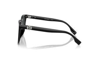 Vue latérale Tory Burch TY7213D (170987)