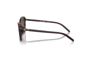 Vue latérale Tory Burch TY9074U (194887)