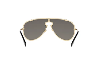 Vue arrière Versace VE2243 (10026G)