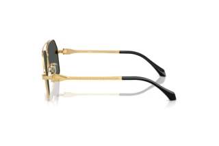 Vue latérale Versace VE2284 (100287)