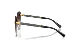 Vue latérale Versace VE2292B (10028G)