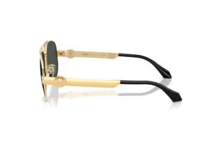 Vue latérale Versace VE2302 (152387)