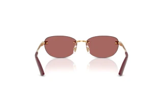 Vue arrière Versace VE2307 (152369)