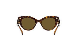 Vue arrière Versace VE4408 (108/73)