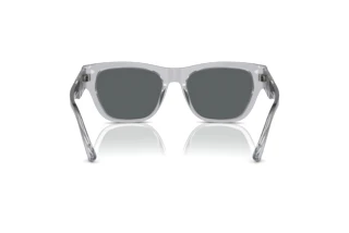 Vue arrière Versace VE4457 (543287)