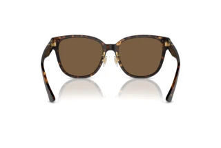 Vue arrière Versace VE4460D (108/73)