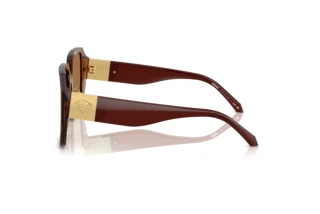 Vue latérale Versace VE4472D (5028/O)