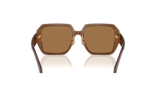 Vue arrière Versace VE4472D (5028/O)