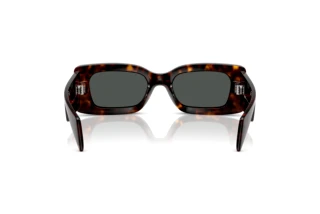 Vue arrière Versace VE4474U (108/87)