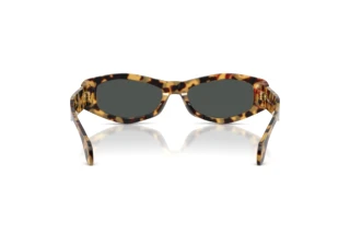 Vue arrière Versace VE4487 (777/87)