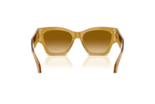 Vue arrière Versace VE4492U (53472L)