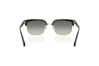 Vue arrière Versace VE4494D (GB1/11)