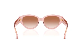 Vue arrière Versace VE4495D (543413)