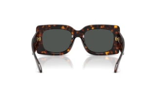 Vue arrière Versace VE4496U (108/87)