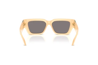 Vue arrière Versace VE4497U (554473)